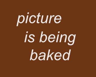 No Knead Bread Mix Wurzelbrot